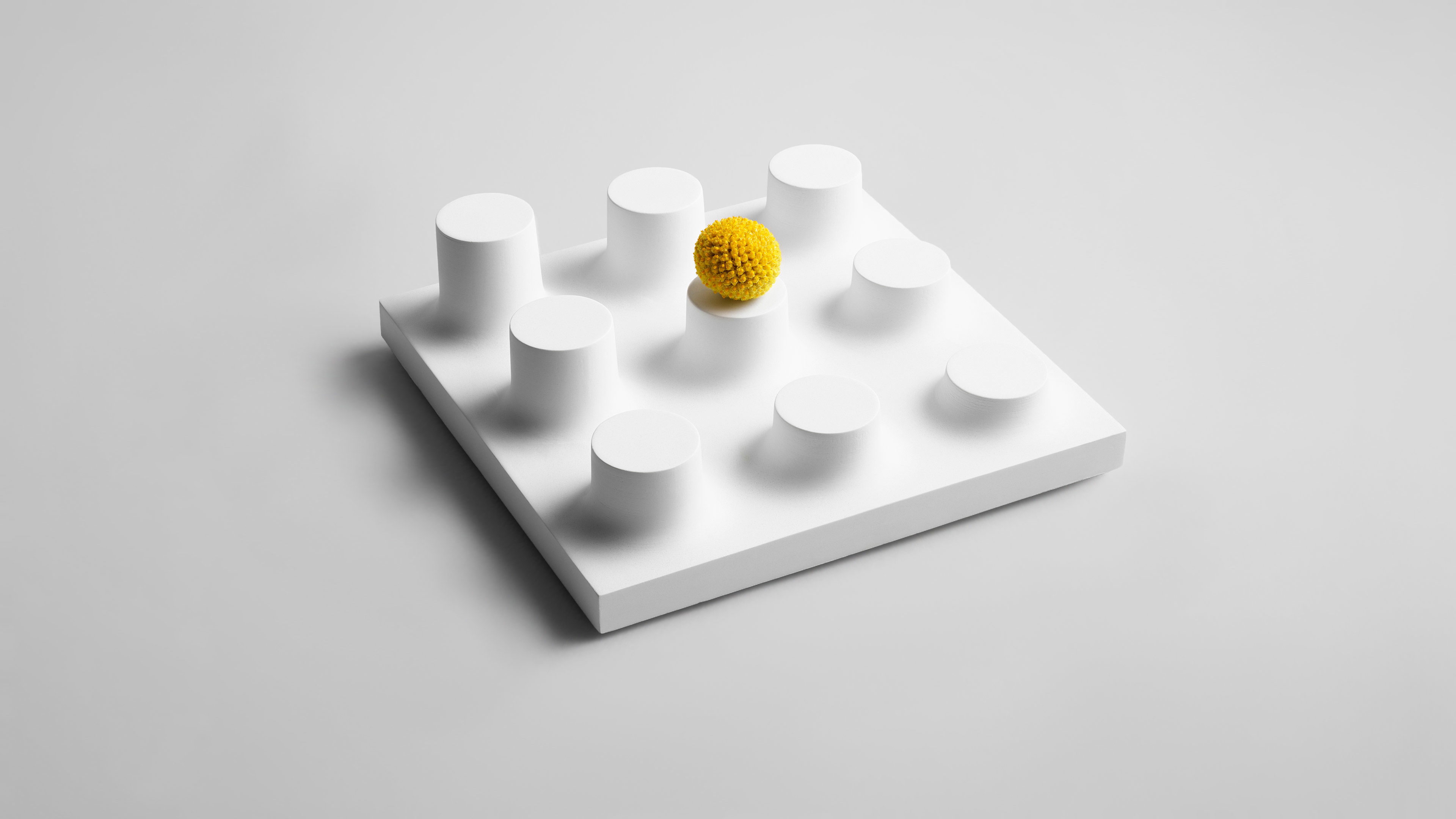 Display Modules