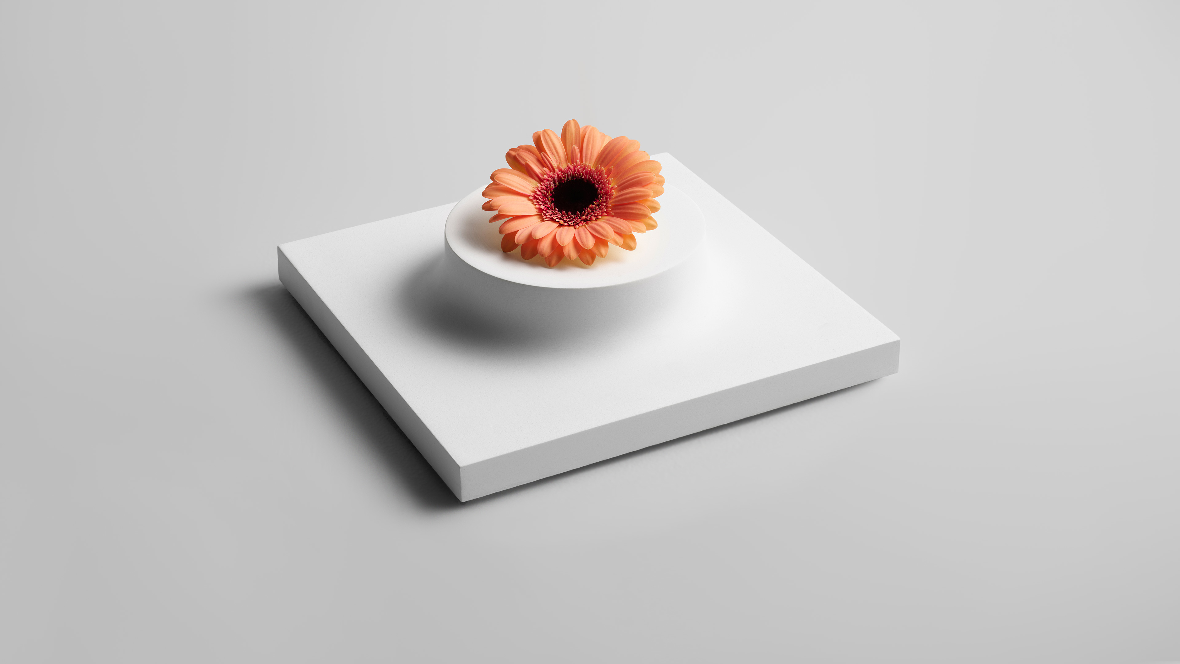 Display Modules