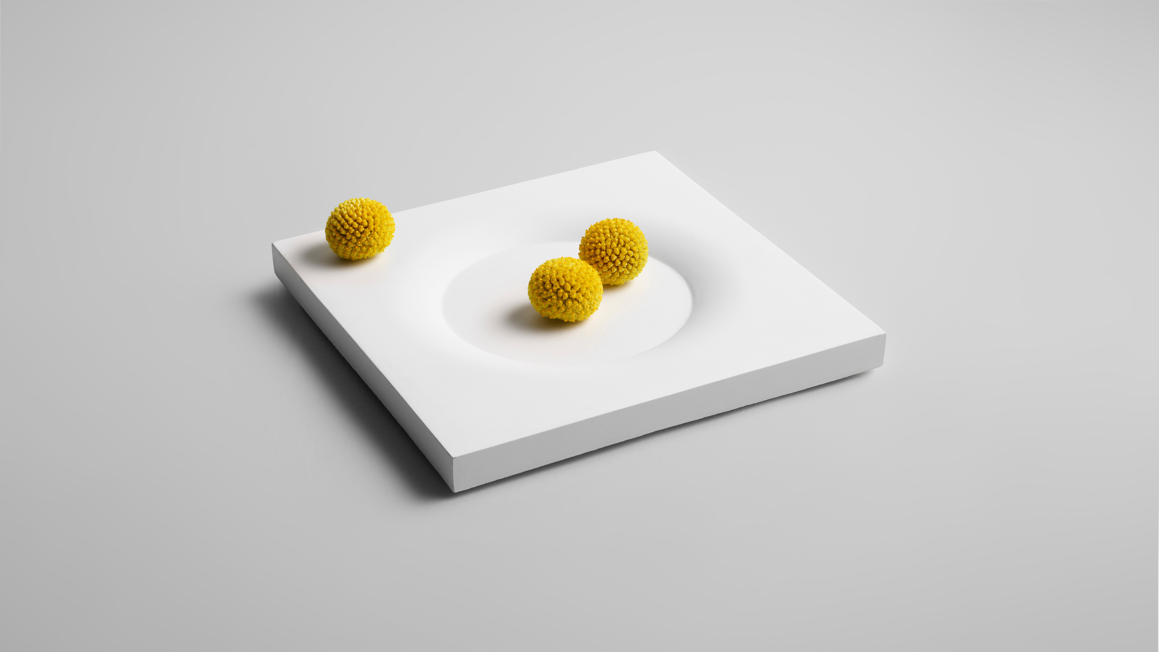 Display Modules